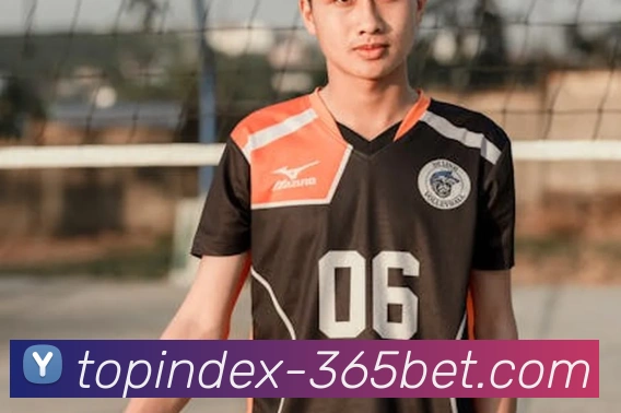 App Interface Preview